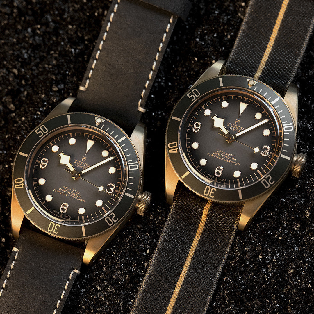 冬紅葉にマッチするTUDORウォッチ