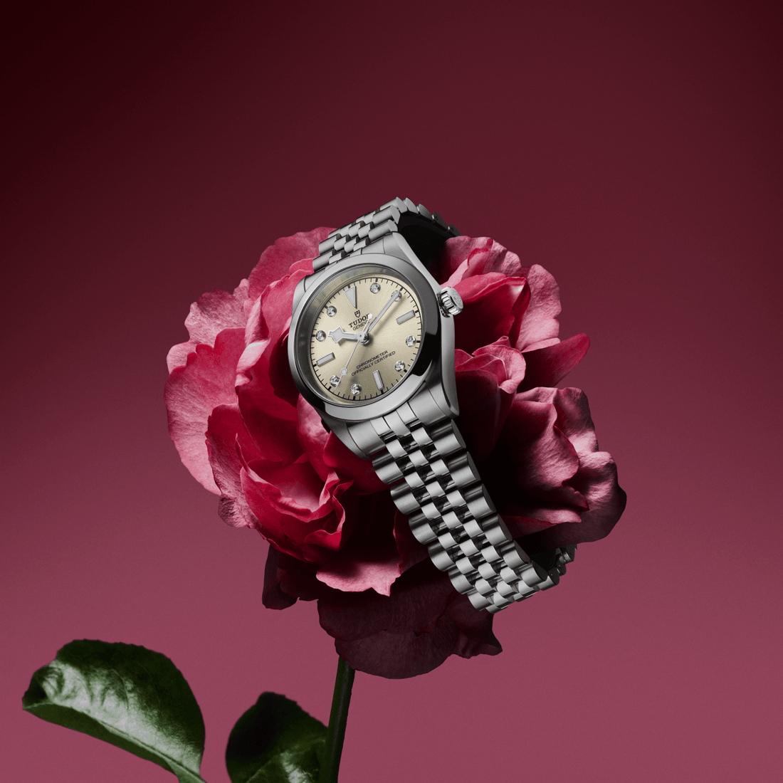 バレンタインデーに贈る、特別なチューダーウォッチ