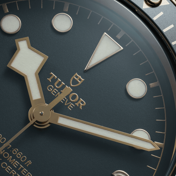 BLACK BAY BRONZE
