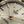TUDOR ROYAL (30mm)