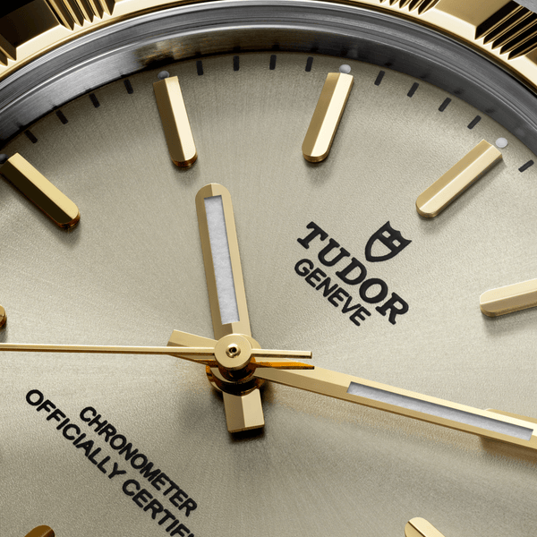 TUDOR ROYAL (30mm)
