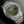 TUDOR ROYAL (40mm)