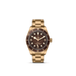 BLACK BAY 58 BRONZE