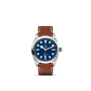 BLACK BAY 36