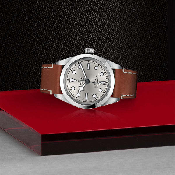 【正規販売】BLACK BAY 36