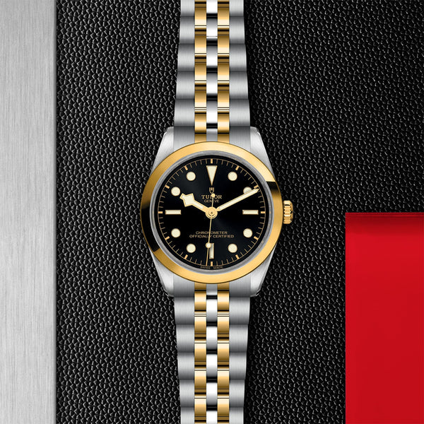 【正規販売】BLACK BAY 36 S&G