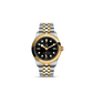 BLACK BAY 39 S&G